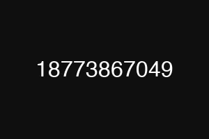 18773867049