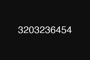 3203236454