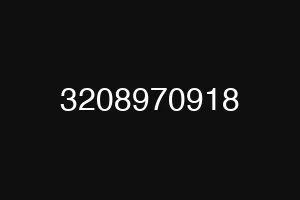3208970918