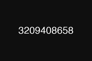 3209408658