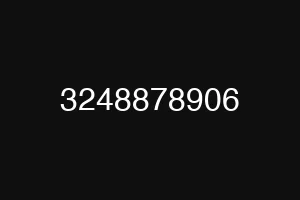 3248878906
