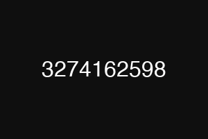 3274162598