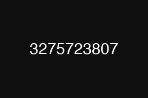 3275723807
