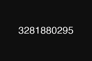 3281880295