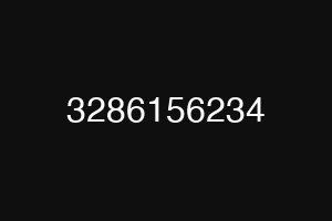 3286156234