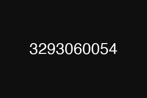 3293060054
