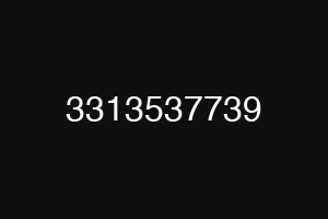 3313537739