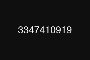 3347410919