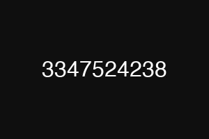 3347524238