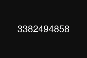 3382494858