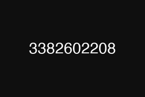 3382602208