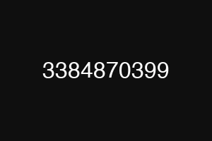 3384870399