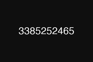 3385252465