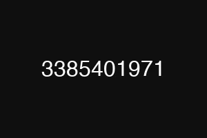 3385401971