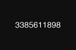 3385611898