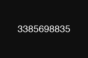 3385698835